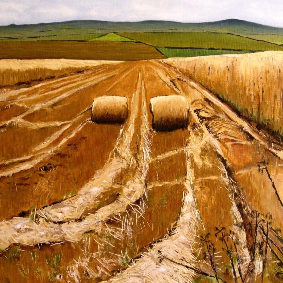 Pentrich Fields by Martin Davis