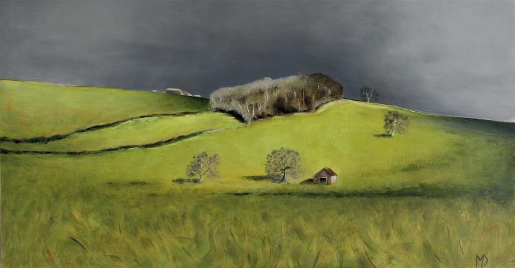 Cowshed on the A610 by Martin Davis