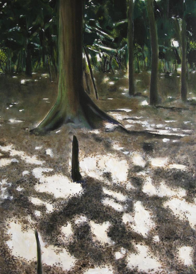Alfreton Park by Martin Davis